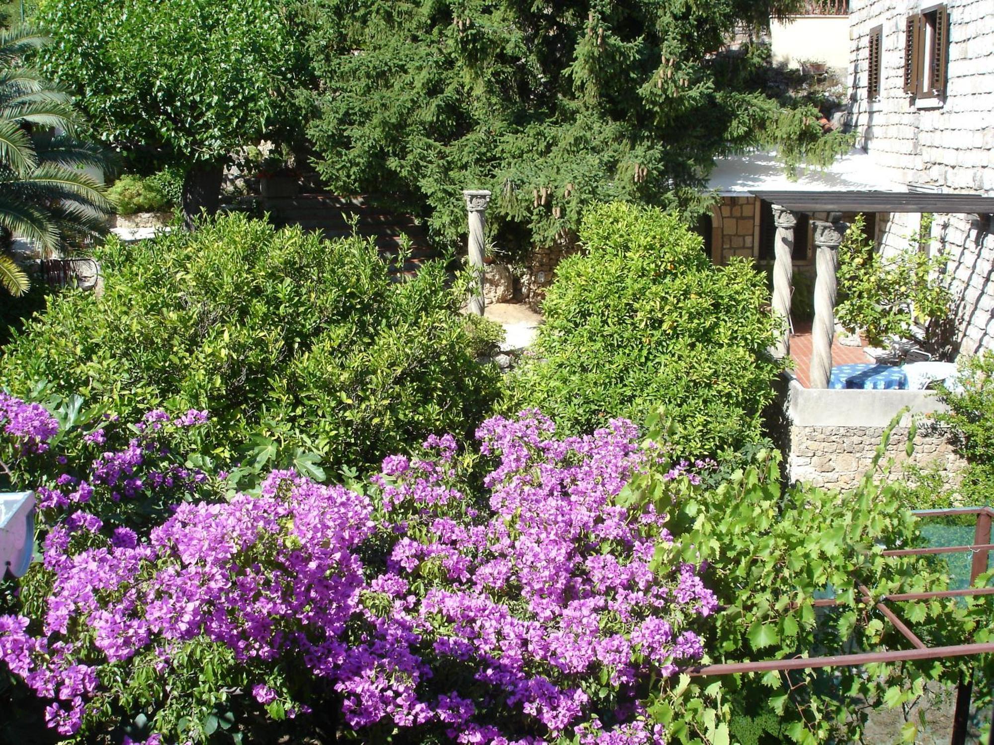 Villa Fede Mlini Kültér fotó